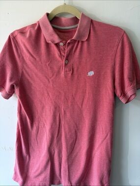 Banana Republic Pink Washed Polo Shirt